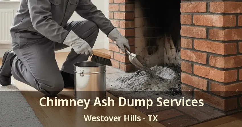 Chimney Ash Dump Services Westover Hills - TX