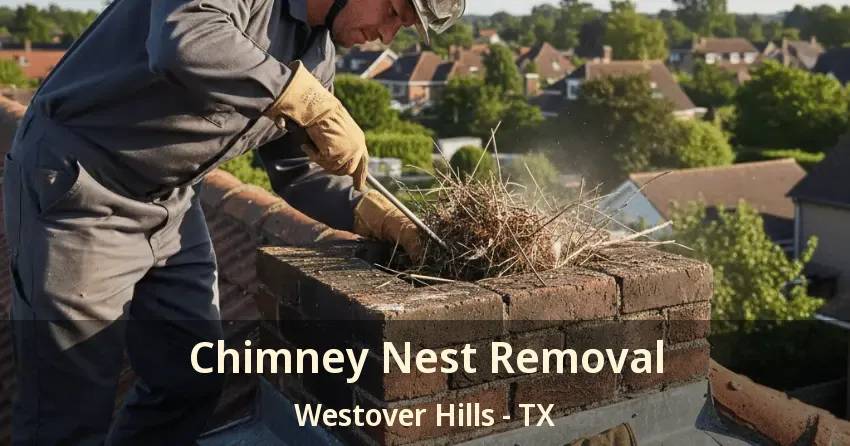 Chimney Nest Removal Westover Hills - TX