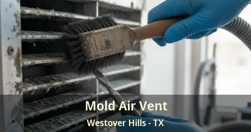 Mold Air Vent Westover Hills - TX