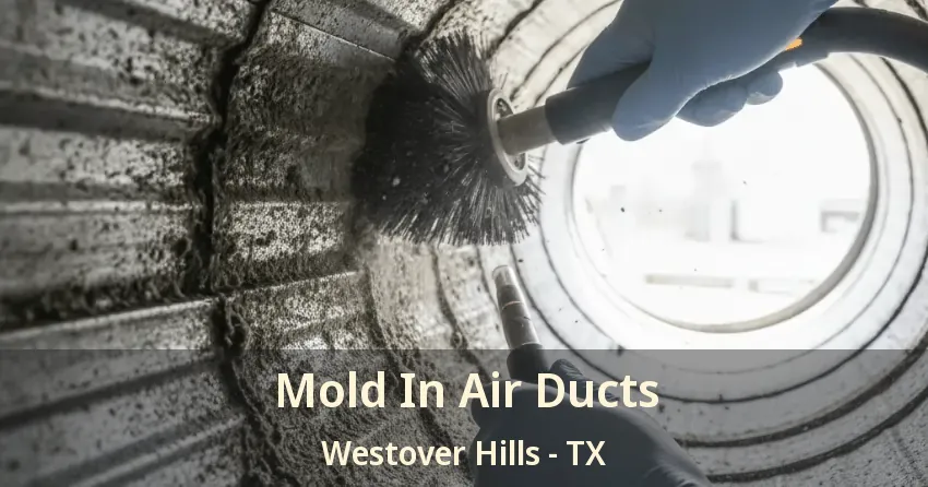 Mold In Air Ducts Westover Hills - TX