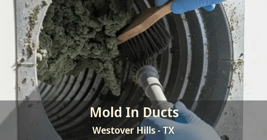 Mold In Ducts Westover Hills - TX