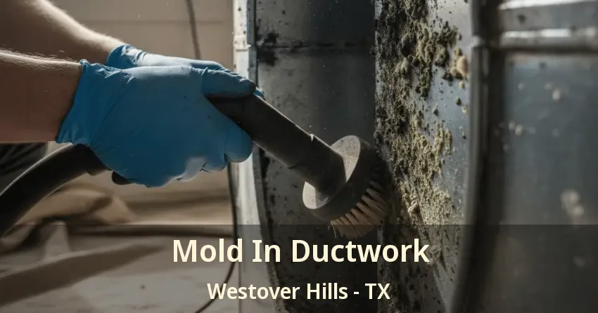 Mold In Ductwork Westover Hills - TX