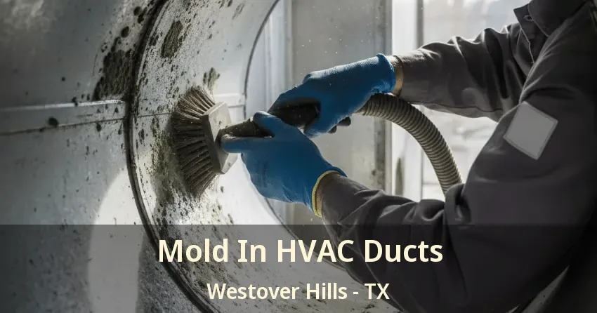 Mold In HVAC Ducts Westover Hills - TX