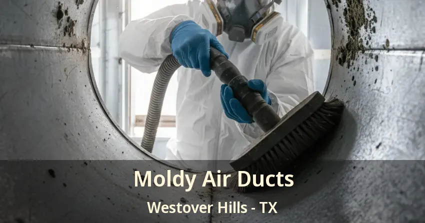 Moldy Air Ducts Westover Hills - TX
